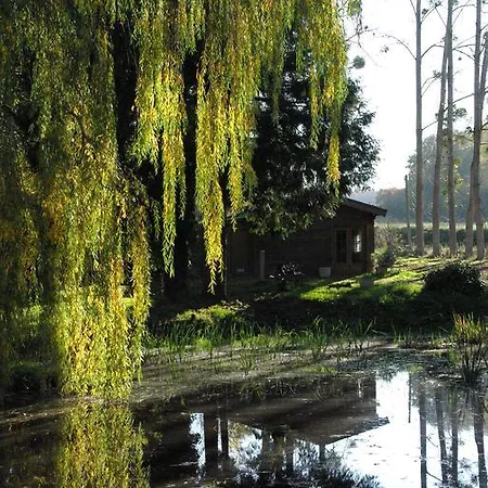 Smile & Braudieres *