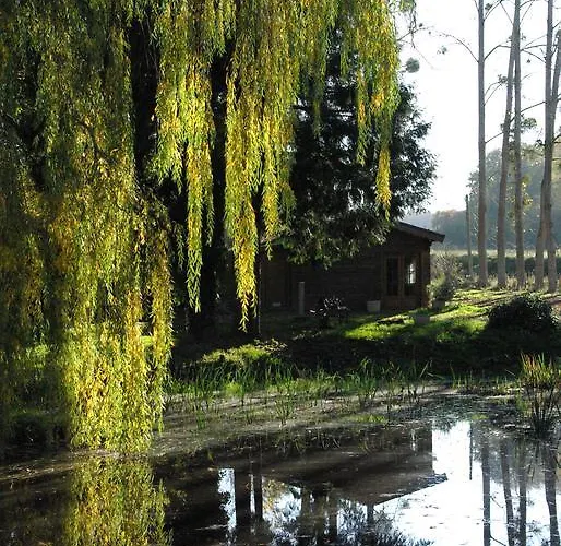 Smile & Braudieres *