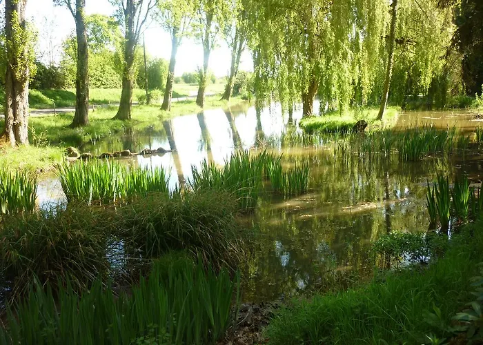 Smile & Braudieres * Mézières-sous-Lavardin